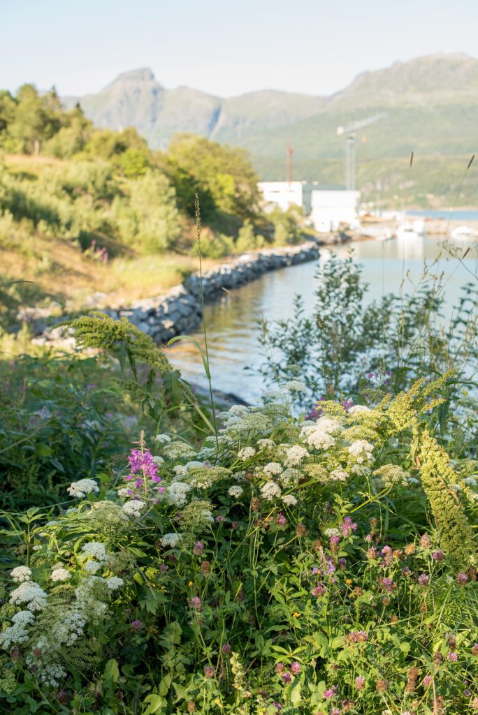 Norway Destination wedding photos by Mikkel Paige Photography with an outdoor ceremony in the Arctic Circle.