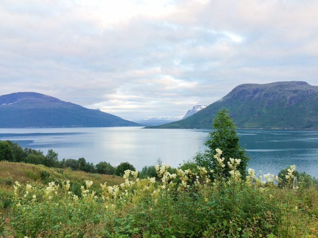 Norway Destination wedding photos by Mikkel Paige Photography with beautiful scenery in the Arctic Circle.