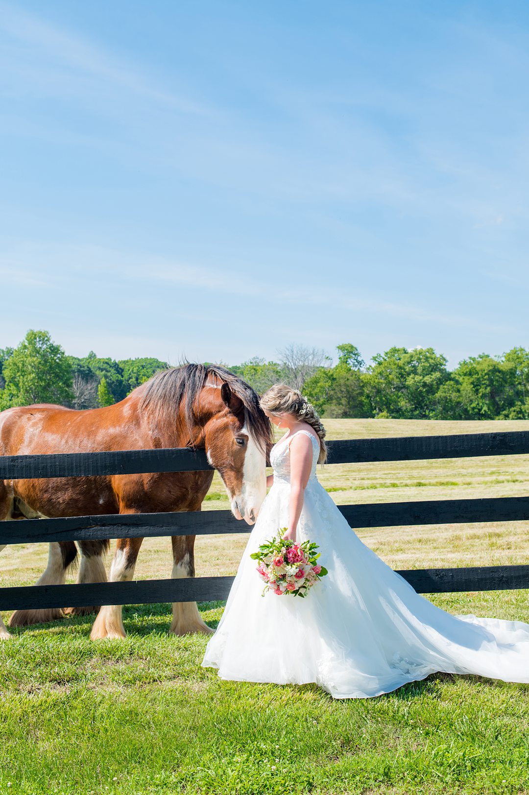 The bride enjoyed The Lodge at Mount Ida for her small wedding in Charlottesville Virginia partially because of the Clydesdale horses on property. Photos by Mikkel Paige Photography.