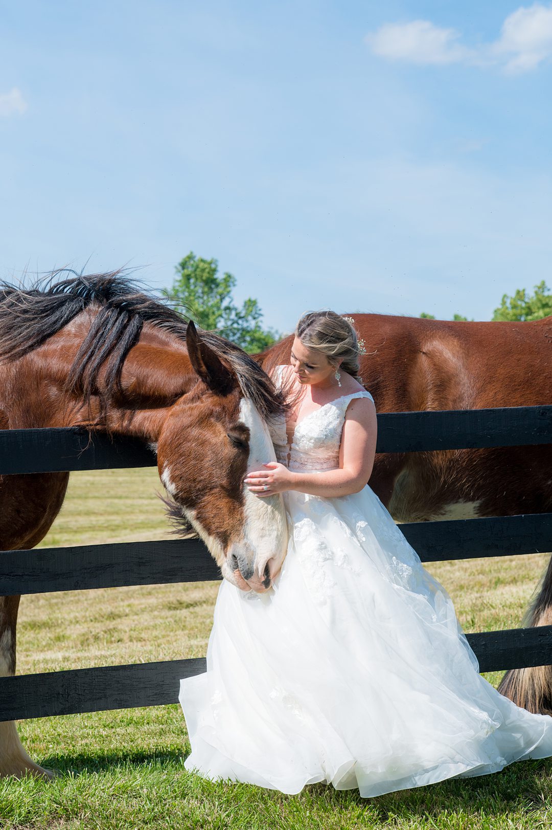 The bride enjoyed The Lodge at Mount Ida for her small wedding in Charlottesville Virginia partially because of the Clydesdale horses on property. Photos by Mikkel Paige Photography.