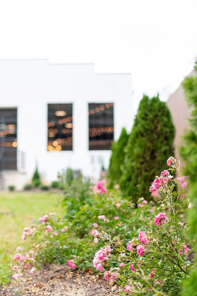 Roses and the green lawn at The Graham Mill in NC, an event space and wedding venue.