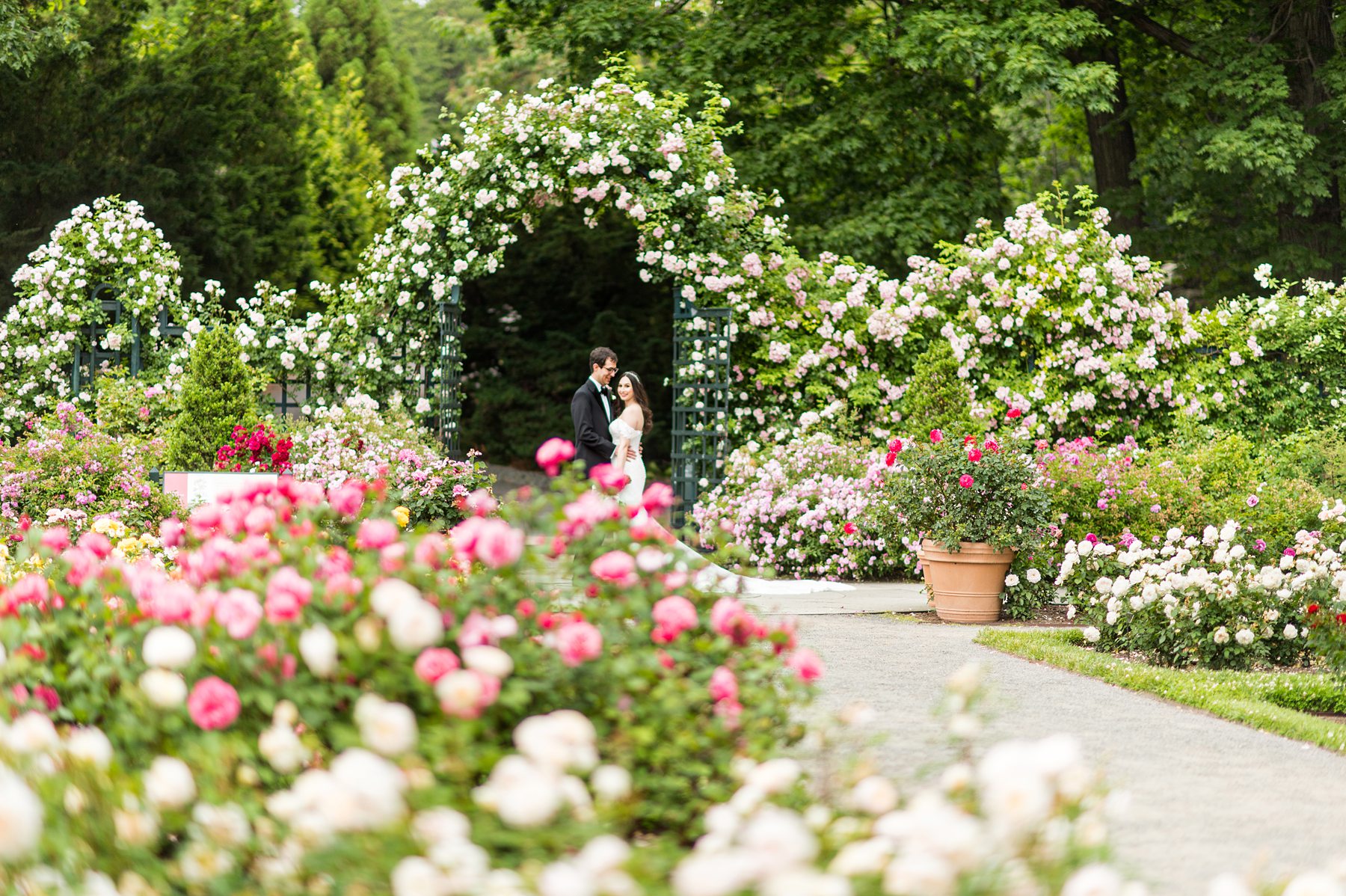 Wedding at New York Botanical Garden rose garden area in NYC by Mikkel Paige Photography, in the Bronx.