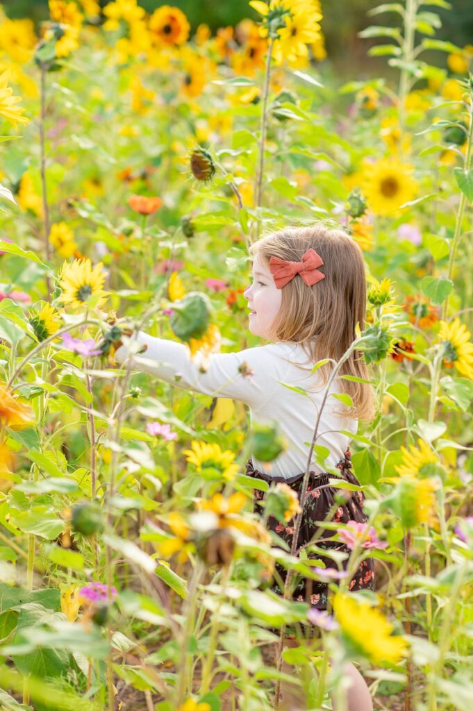 Fall family photo session in the sunflowers at NCMA in Raleigh, NC by Mikkel Paige Photography.