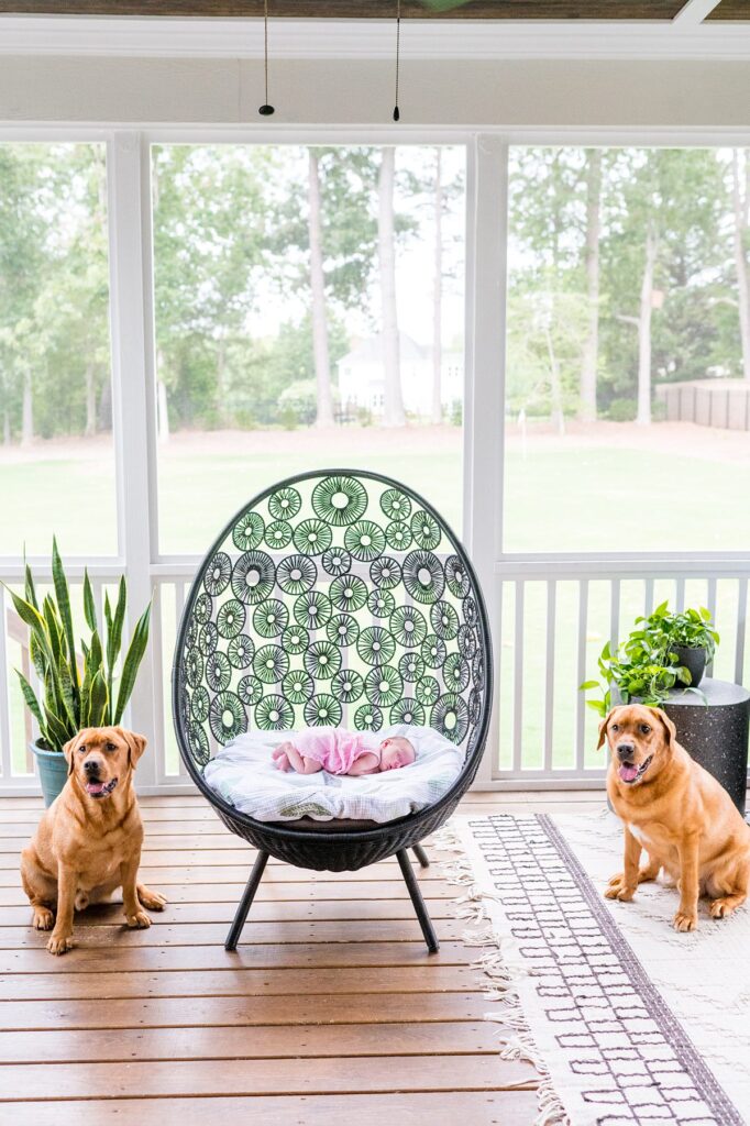 Newborn and family photo session in Raleigh, NC by Mikkel Paige Photography.